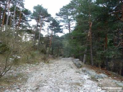 Hiking Calzada Romana de Cercedilla; ofertas vacaciones agosto schmidt sierra espuña nacimiento rio